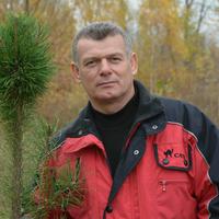 Отзыв от Тарас - виза ДТВ